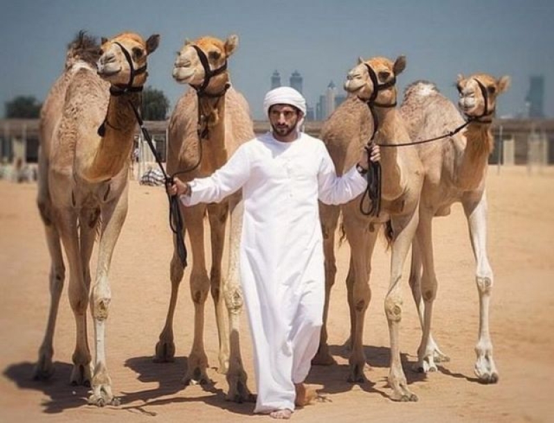 Imagens do ARÁBIA SAUDITA